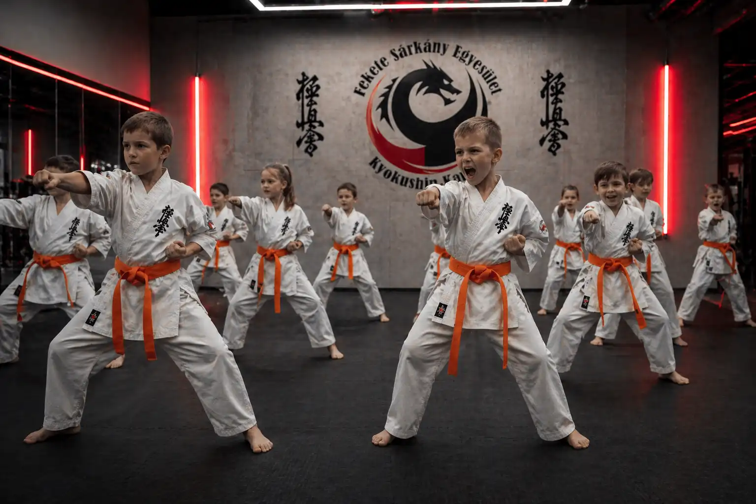 Kyokushin karate edzés